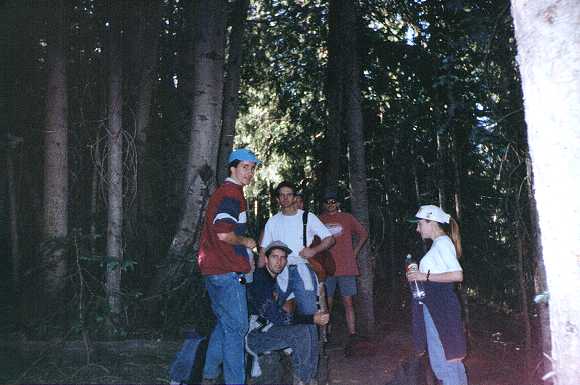 Hiking in the Forest