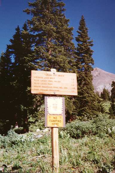 Into Yankee Boy Basin