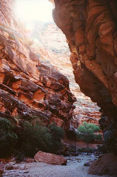 Canyon walls