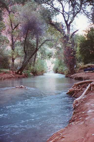 The river