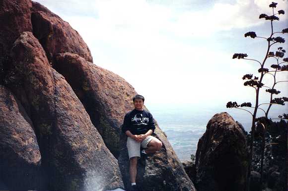 Boulders and blooming century plant